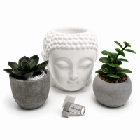 Флеш-накопичувач Wibrand USB 3.2 Gen1 Bee 64GB USB Type-A/USB Type-C Silver