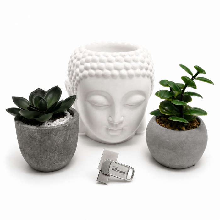 Флеш-накопичувач Wibrand USB 3.2 Gen1 Bee 128GB USB Type-A/USB Type-C Silver