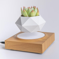 Магнітний левітаційний горщик для рослин HCNT Magnetic Levitating Pot M10-FP  Wood Grain